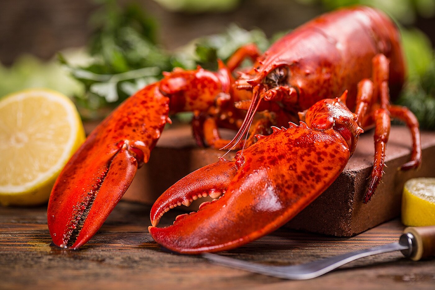 BENIHANA Lobster